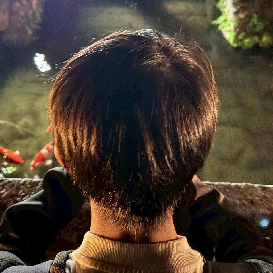 プロフィール画像